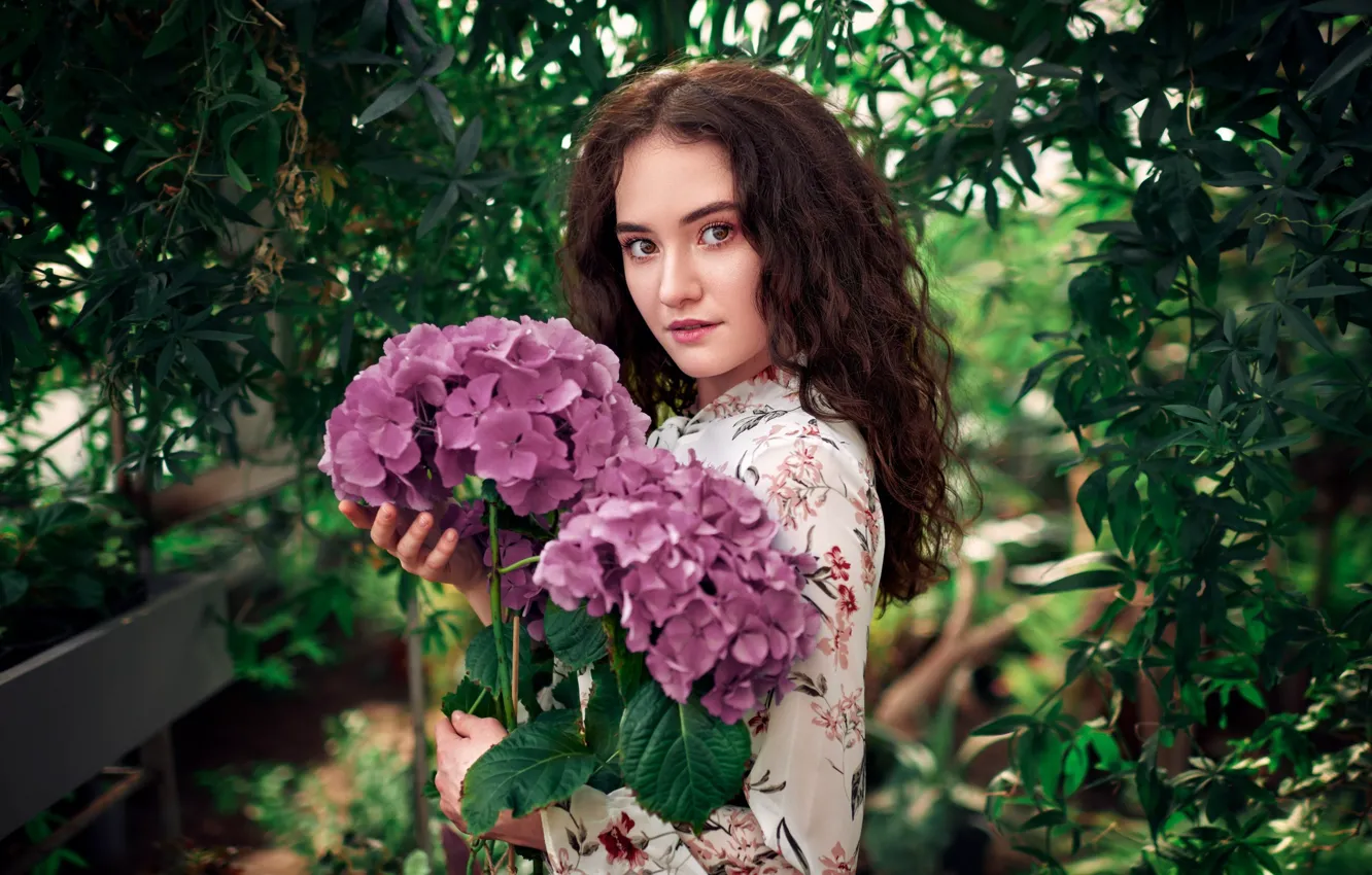 Photo wallpaper look, girl, flowers, face, hydrangea, Sergey Olszewski, Alisa Musina