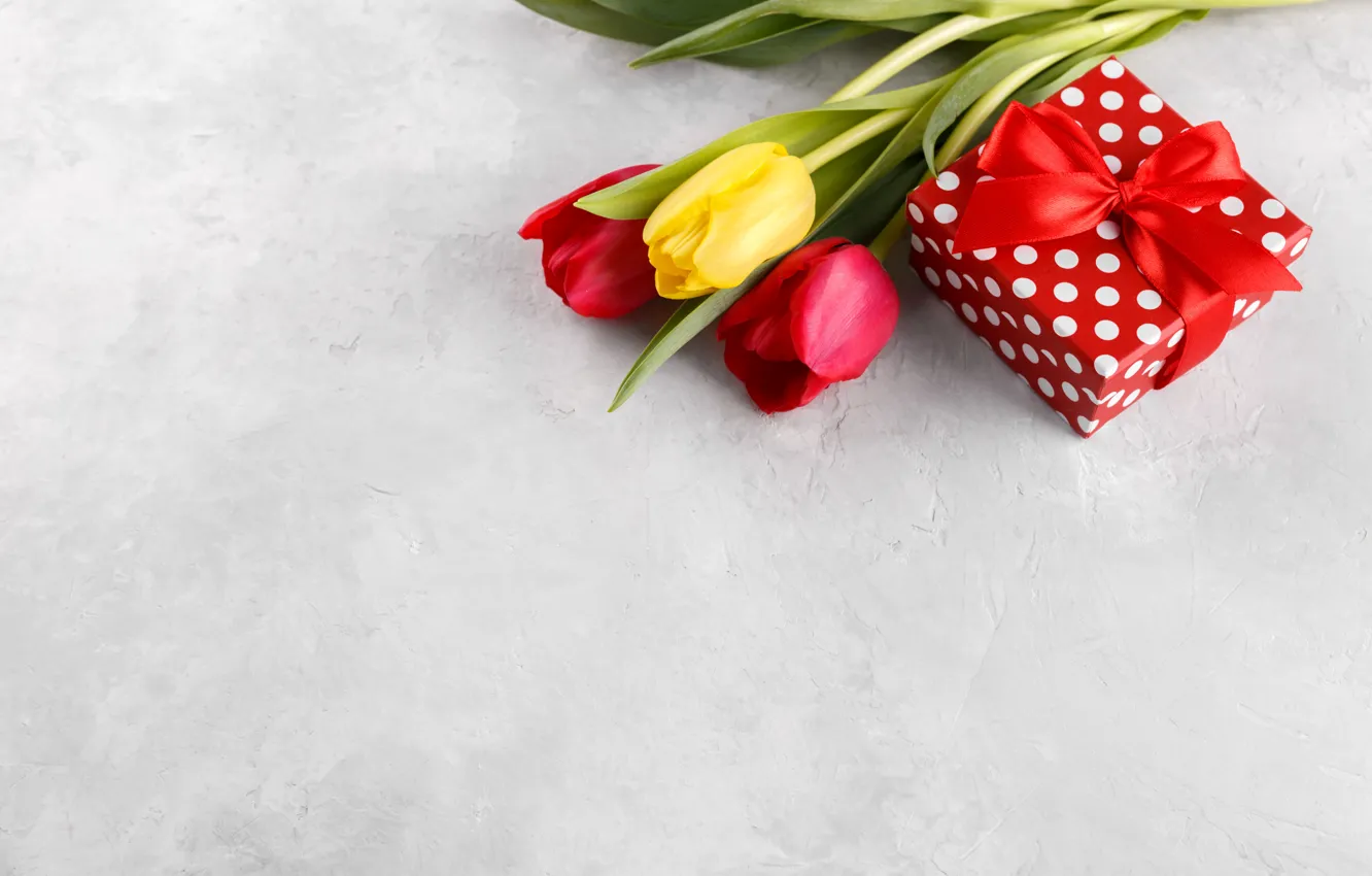 Photo wallpaper flowers, gift, bouquet, colorful, tulips, flowers, tulips, holiday