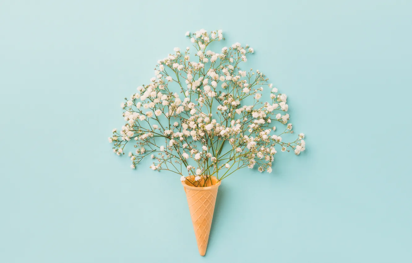 Photo wallpaper flowers, background, white, white, horn, flowers, waffles, spring