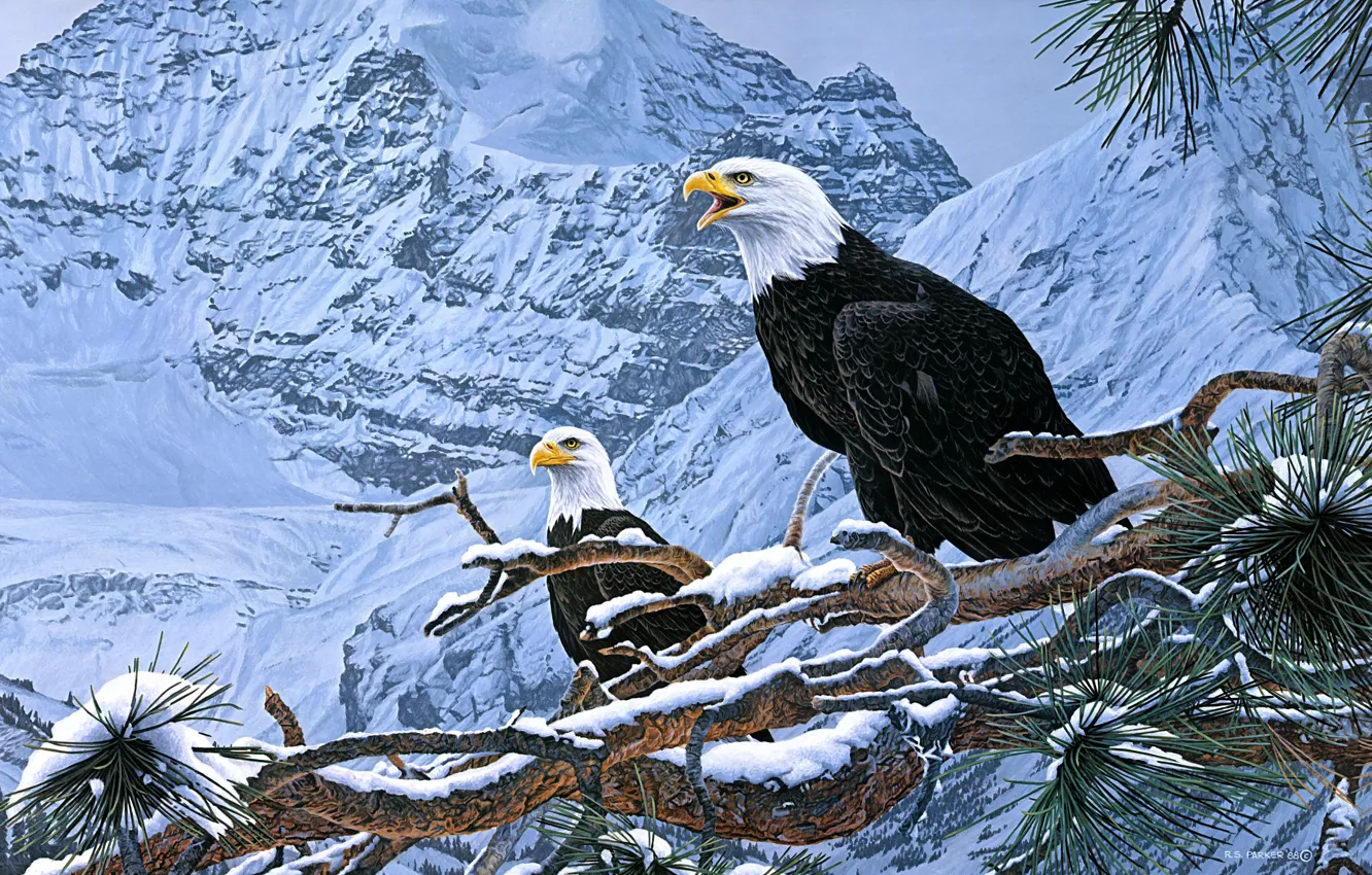 Photo wallpaper winter, snow, mountains, birds, branches, nature, eagle, figure