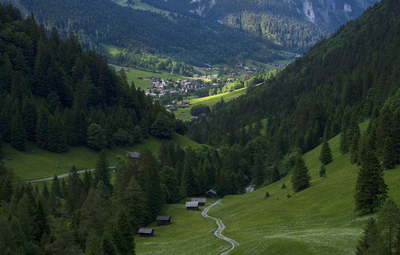 Photo wallpaper road, field, forest, summer, light, mountains, hills, view