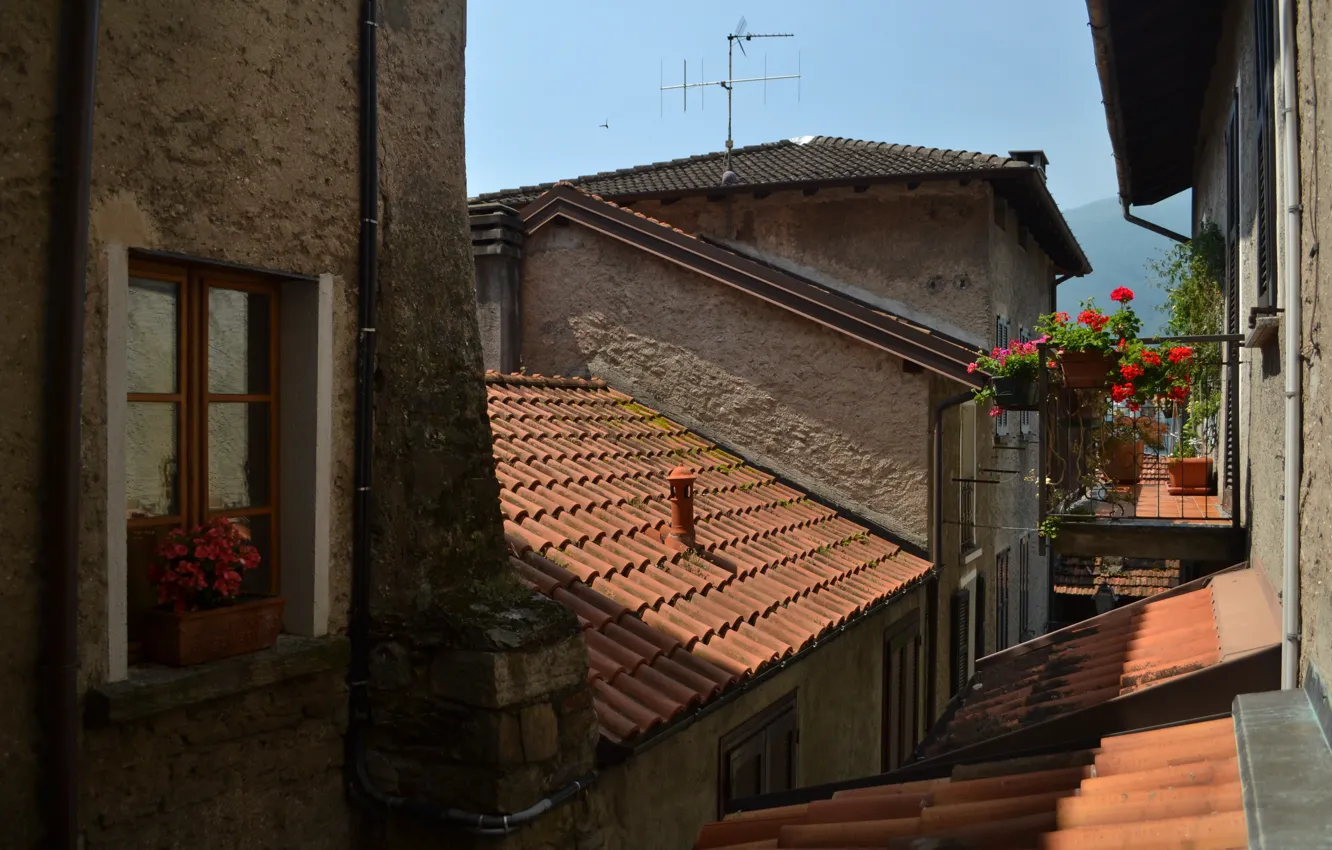 Photo wallpaper roof, the city, home, window, Italy, Italy, Italia, Town