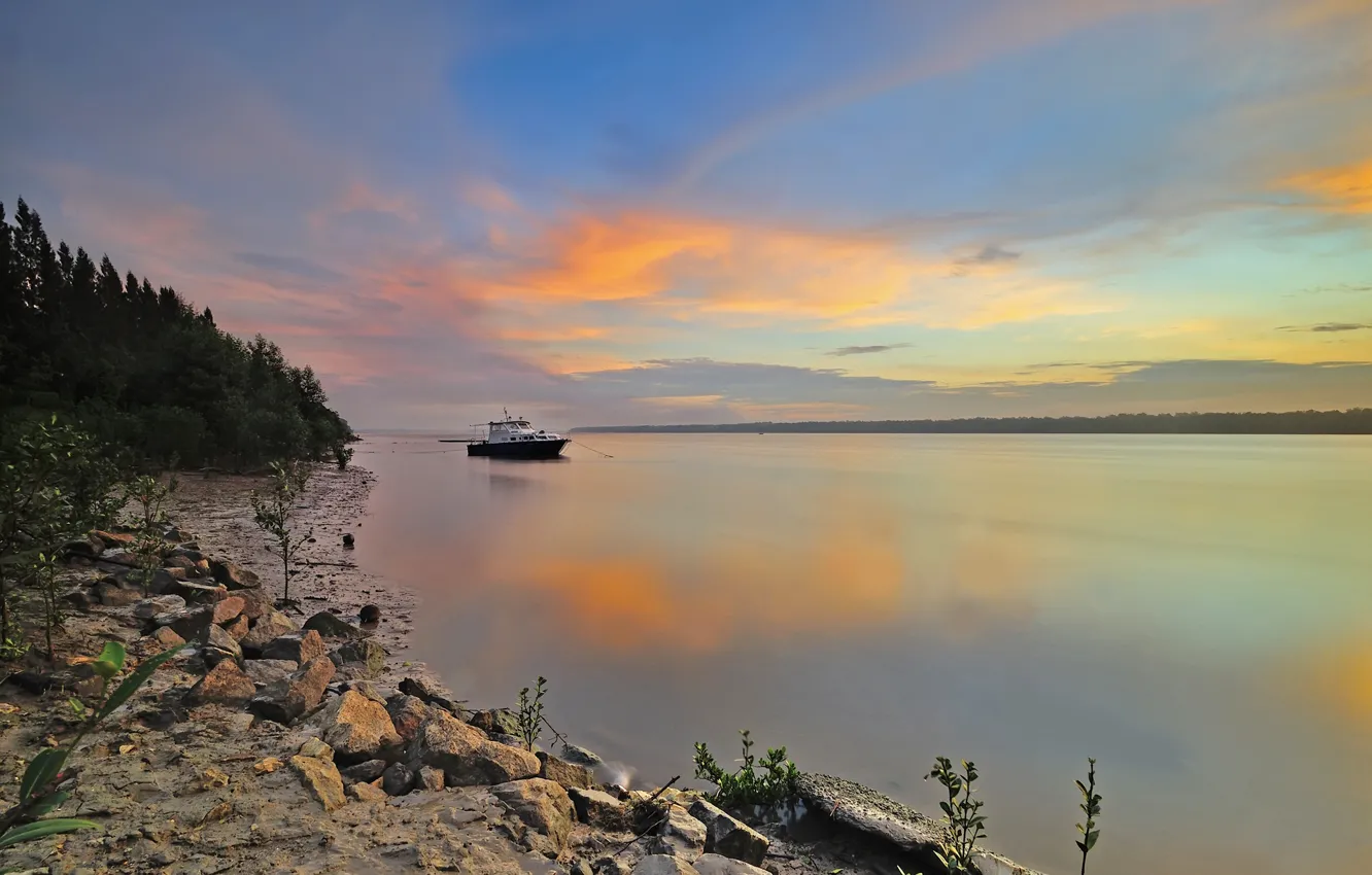 Photo wallpaper forest, sunset, river, boat