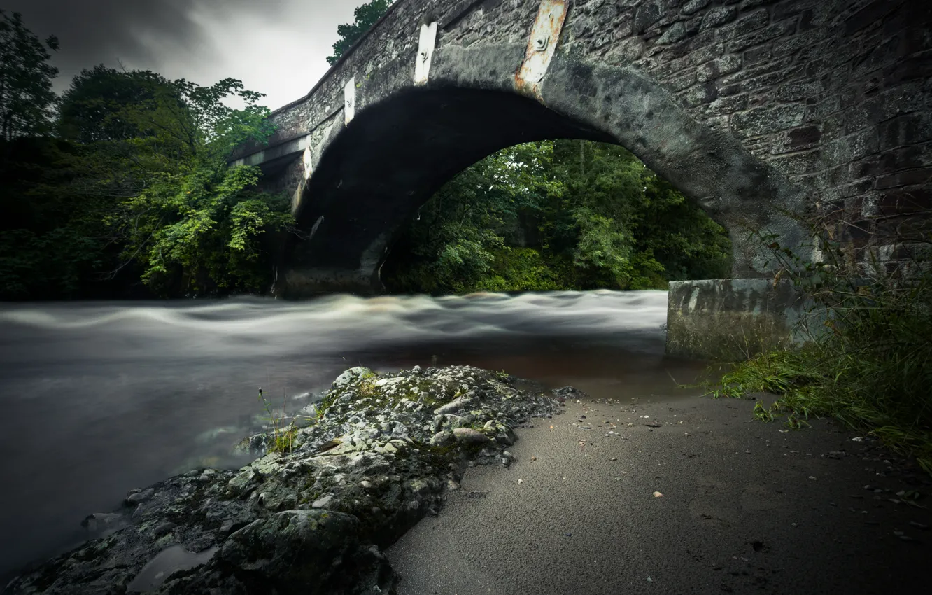Photo wallpaper bridge, nature, river