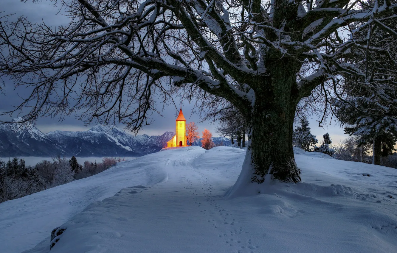 Photo wallpaper winter, snow, trees, landscape, mountains, nature, backlight, Church
