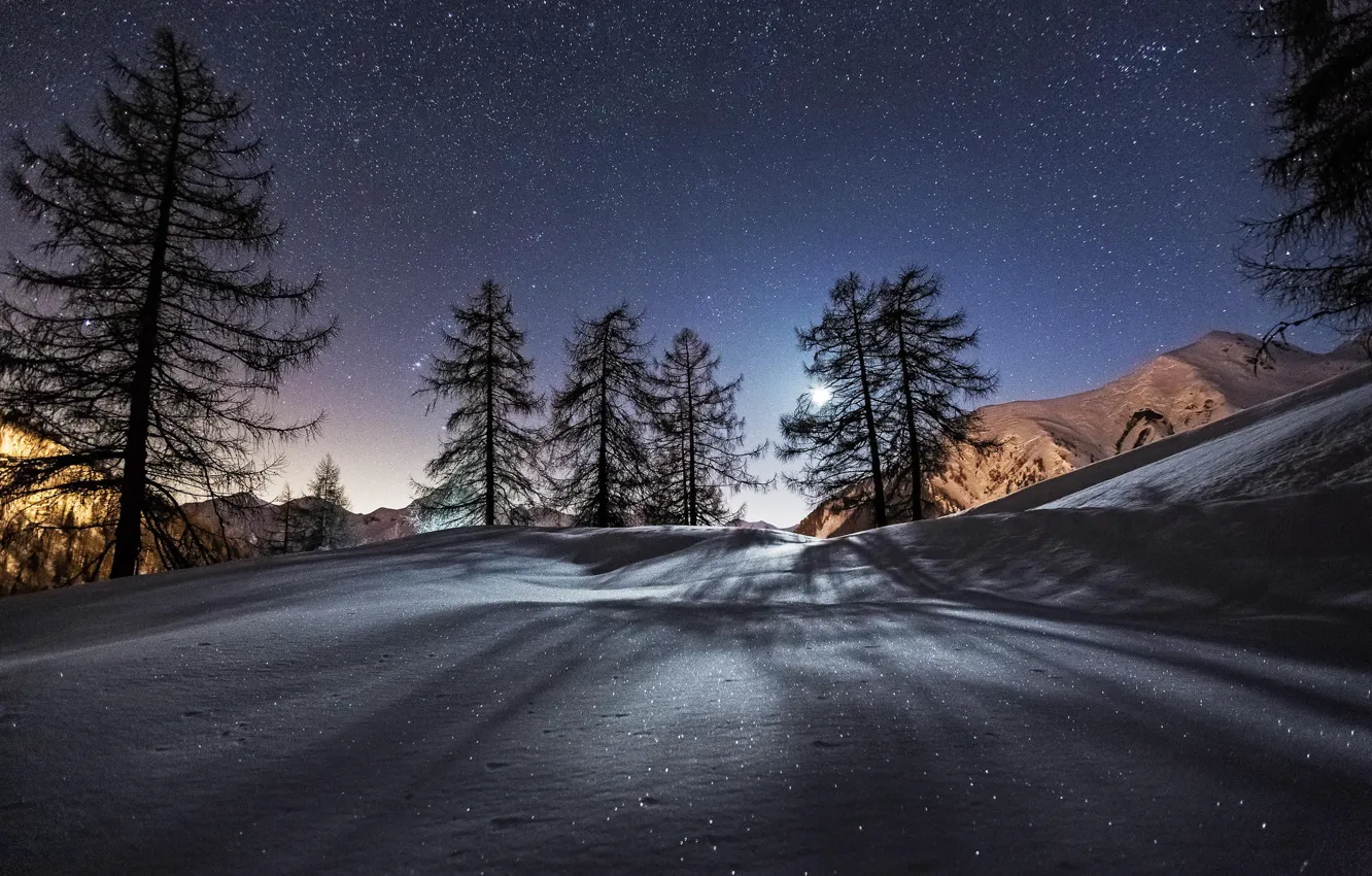 Photo wallpaper winter, stars, snow, trees, mountains, night