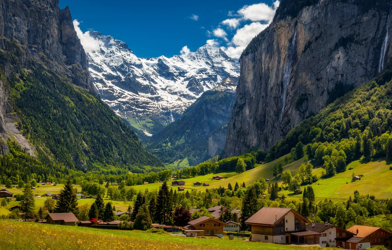 Photo wallpaper forest, landscape, mountains, nature, home, valley, slope, village