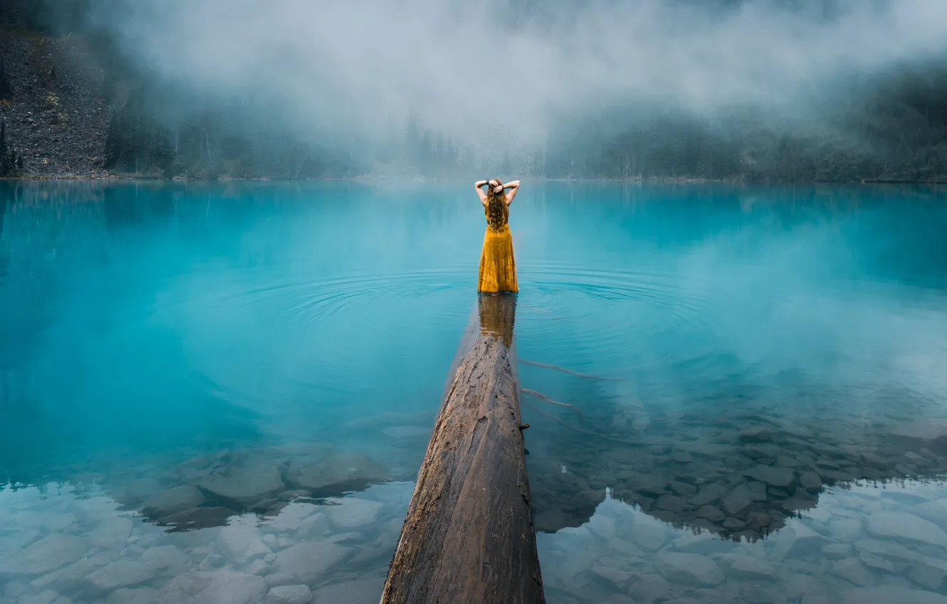 Photo wallpaper forest, water, girl, trees, nature, fog, lake, stones