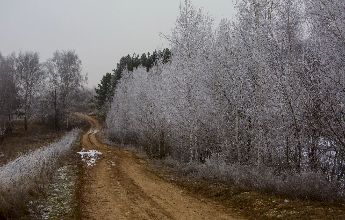 Photo wallpaper frost, road, autumn, trees, nature