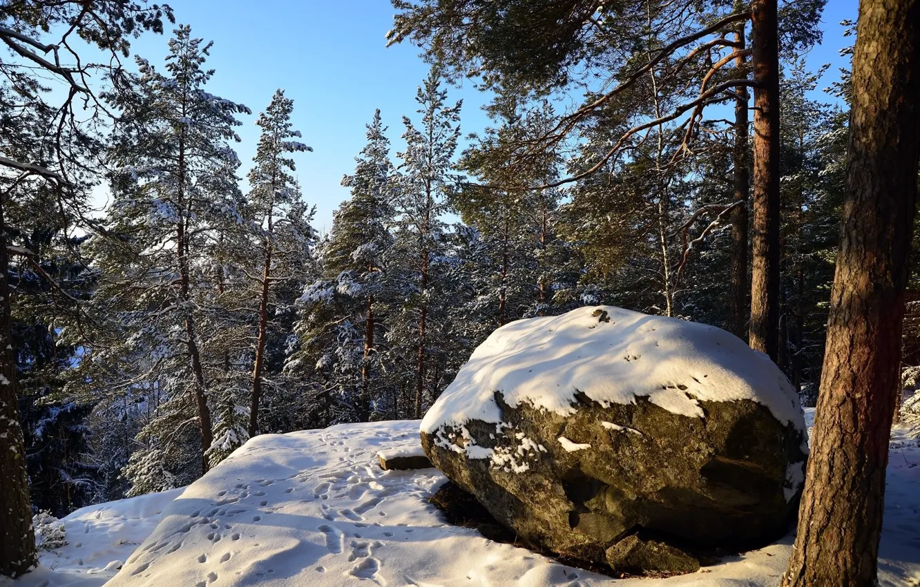 Photo wallpaper Nature, Winter, Snow, Stone