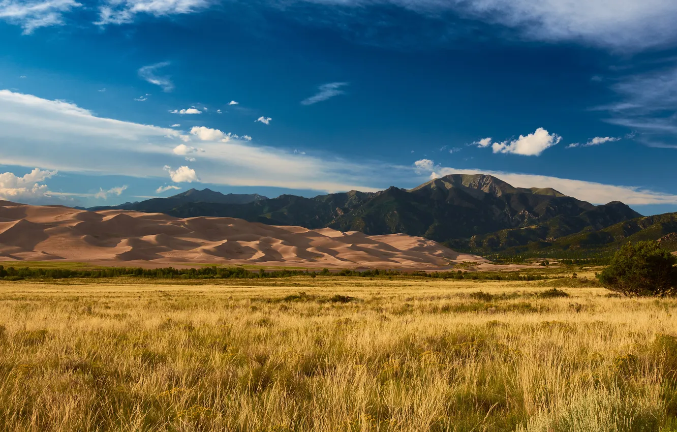 Photo wallpaper field, grass, mountains, blue