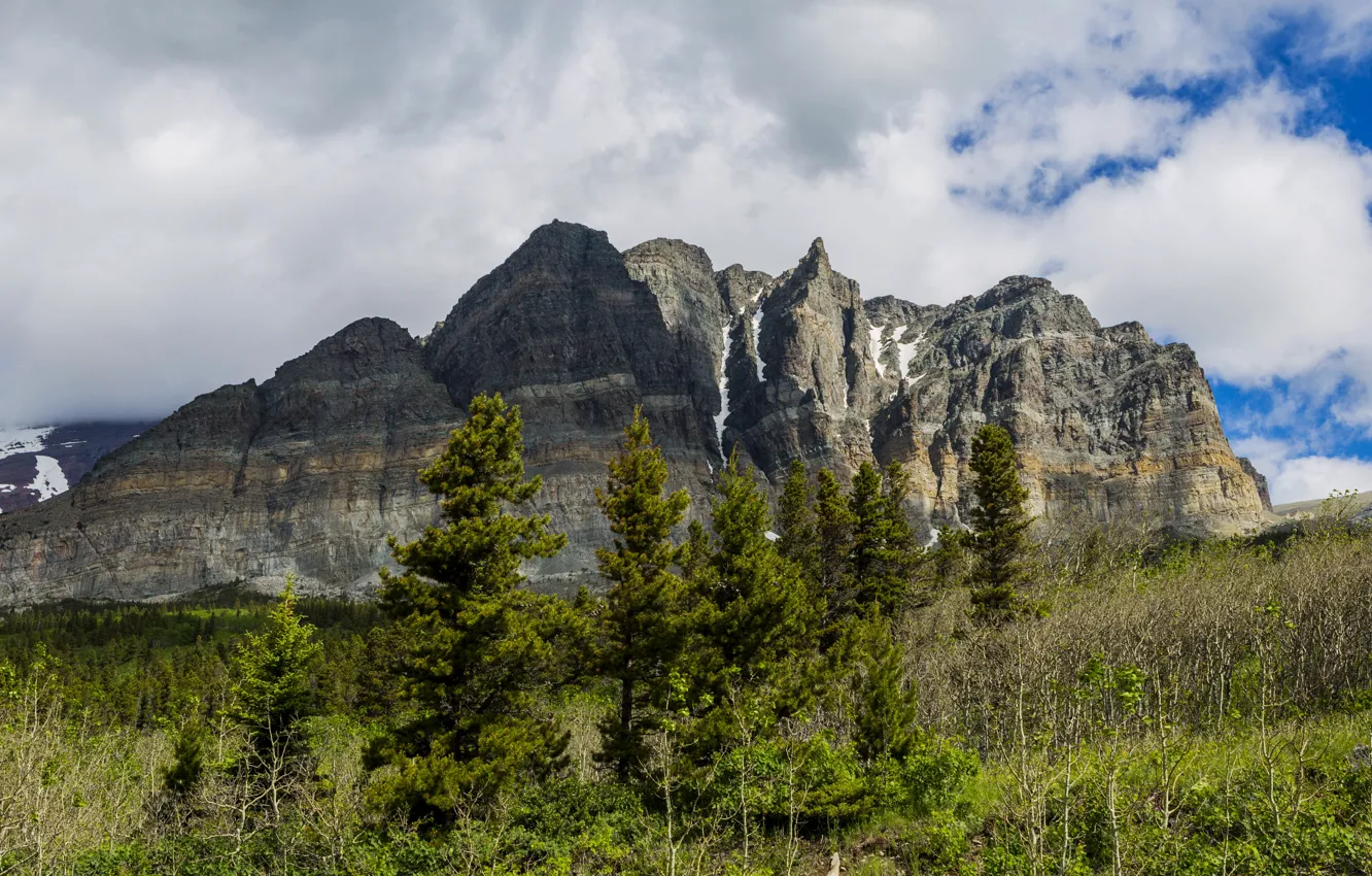 Photo wallpaper trees, mountains, rocks, USA, Glacier