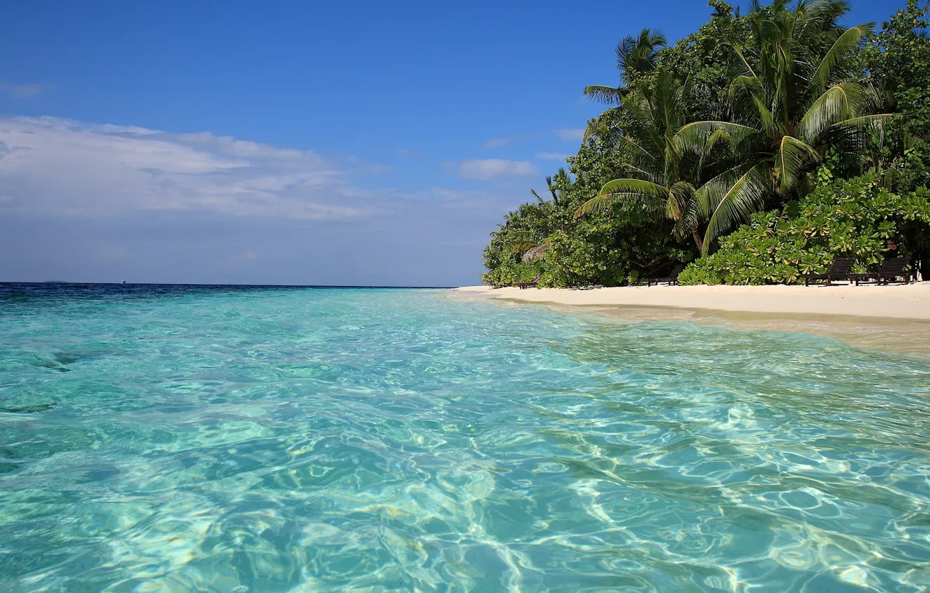 Photo wallpaper sand, sea, tropics, palm trees, shore, blue water