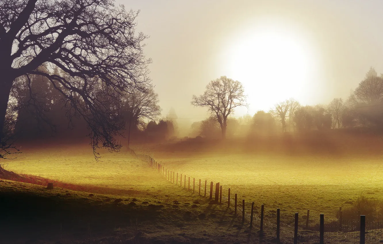 Photo wallpaper field, landscape, fog, the fence, morning