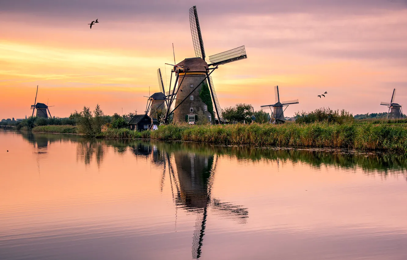 Photo wallpaper lake, reflection, shore, mill, the bushes, pond, Holland, wind