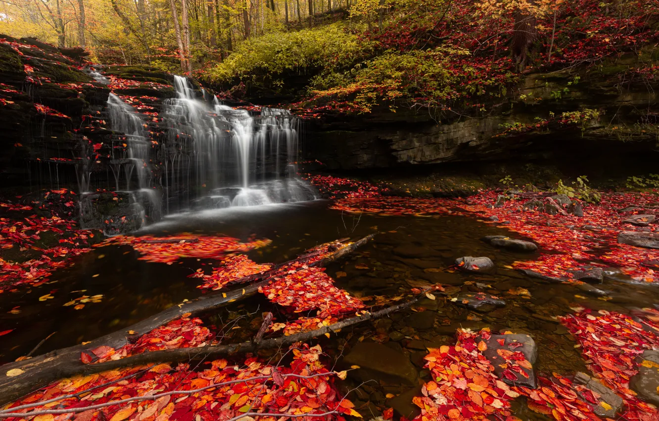 Photo wallpaper autumn, leaves, stones, foliage, waterfall, red