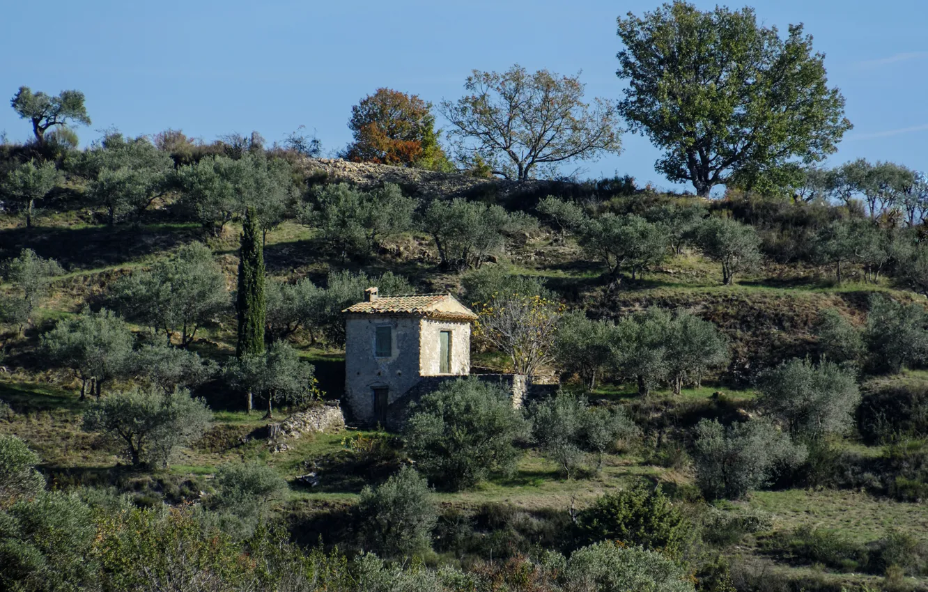 Photo wallpaper trees, France, slope, Alps, house, Upper Provence