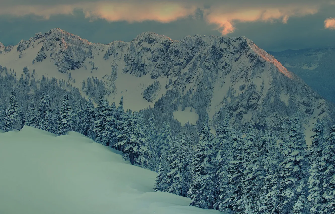 Photo wallpaper winter, forest, snow, landscape, sunset, mountains, the evening, twilight