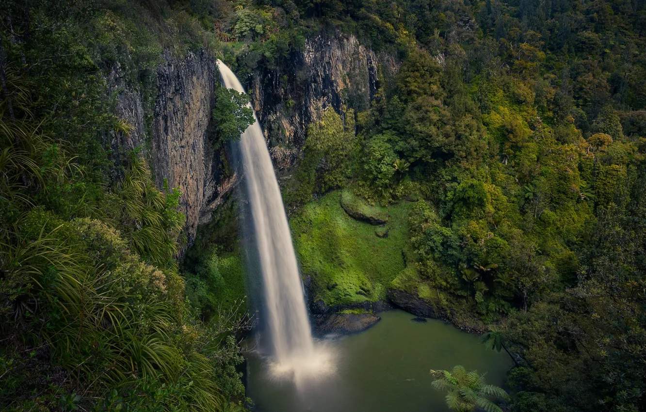 Photo wallpaper forest, rock, river, waterfall, stream, New Zealand, New Zealand, Waikato