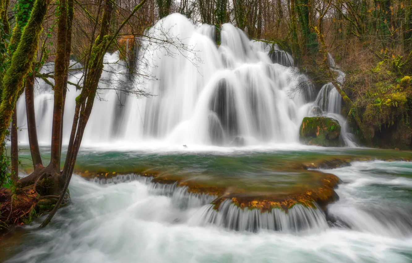 Photo wallpaper forest, trees, waterfall, moss, cascade, France, Jura, Waterfall Tuffs