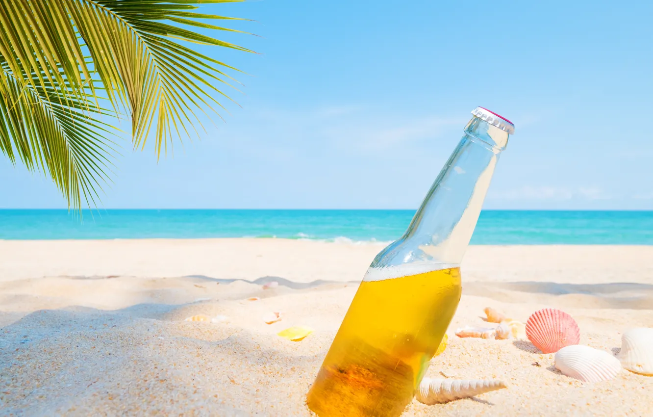Photo wallpaper sand, sea, beach, summer, palm trees, stay, beer, shell