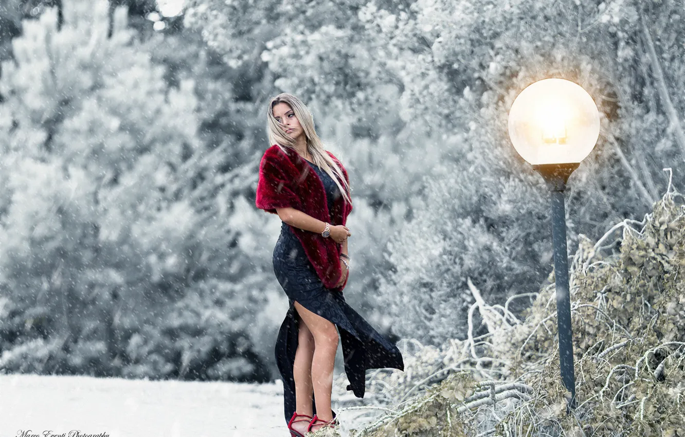 Photo wallpaper winter, girl, snow, pose, the wind, model, dress, lantern