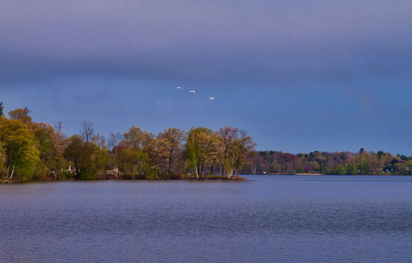 Photo wallpaper autumn, the sky, clouds, trees, birds, lake