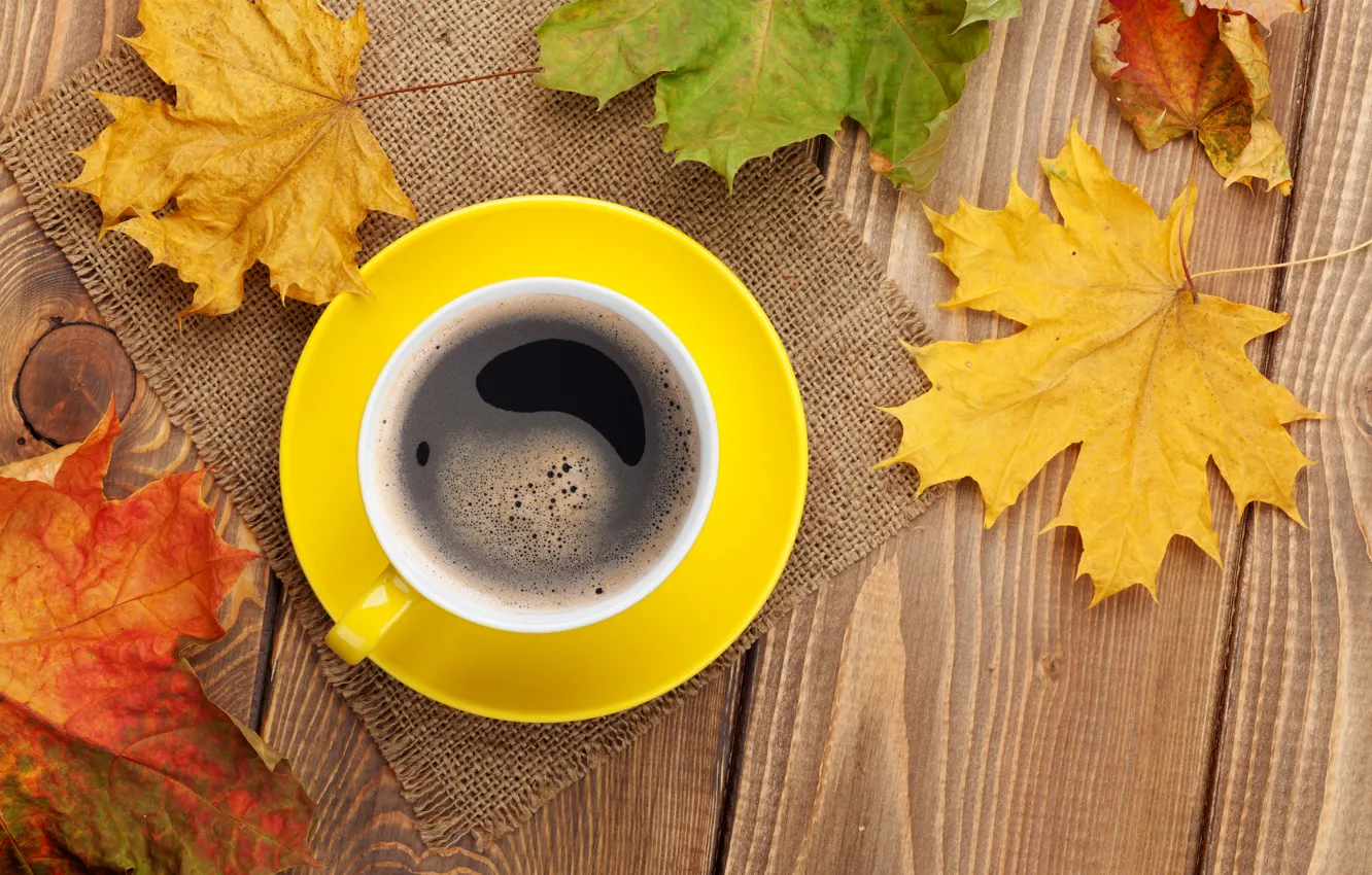 Photo wallpaper autumn, coffee, Cup, maple, autumn, leaves, cup, coffee