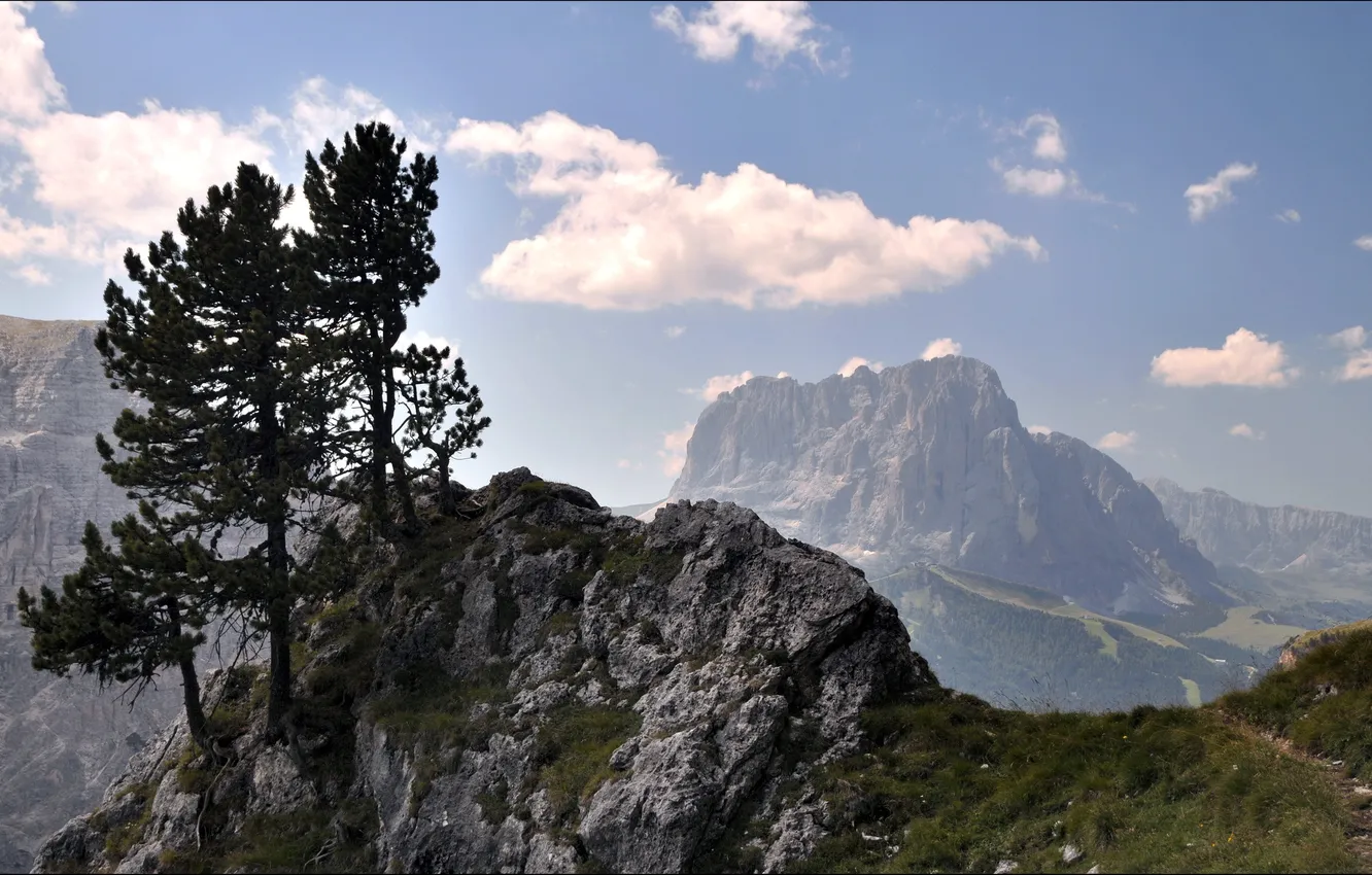 Photo wallpaper trees, landscape, mountains, nature