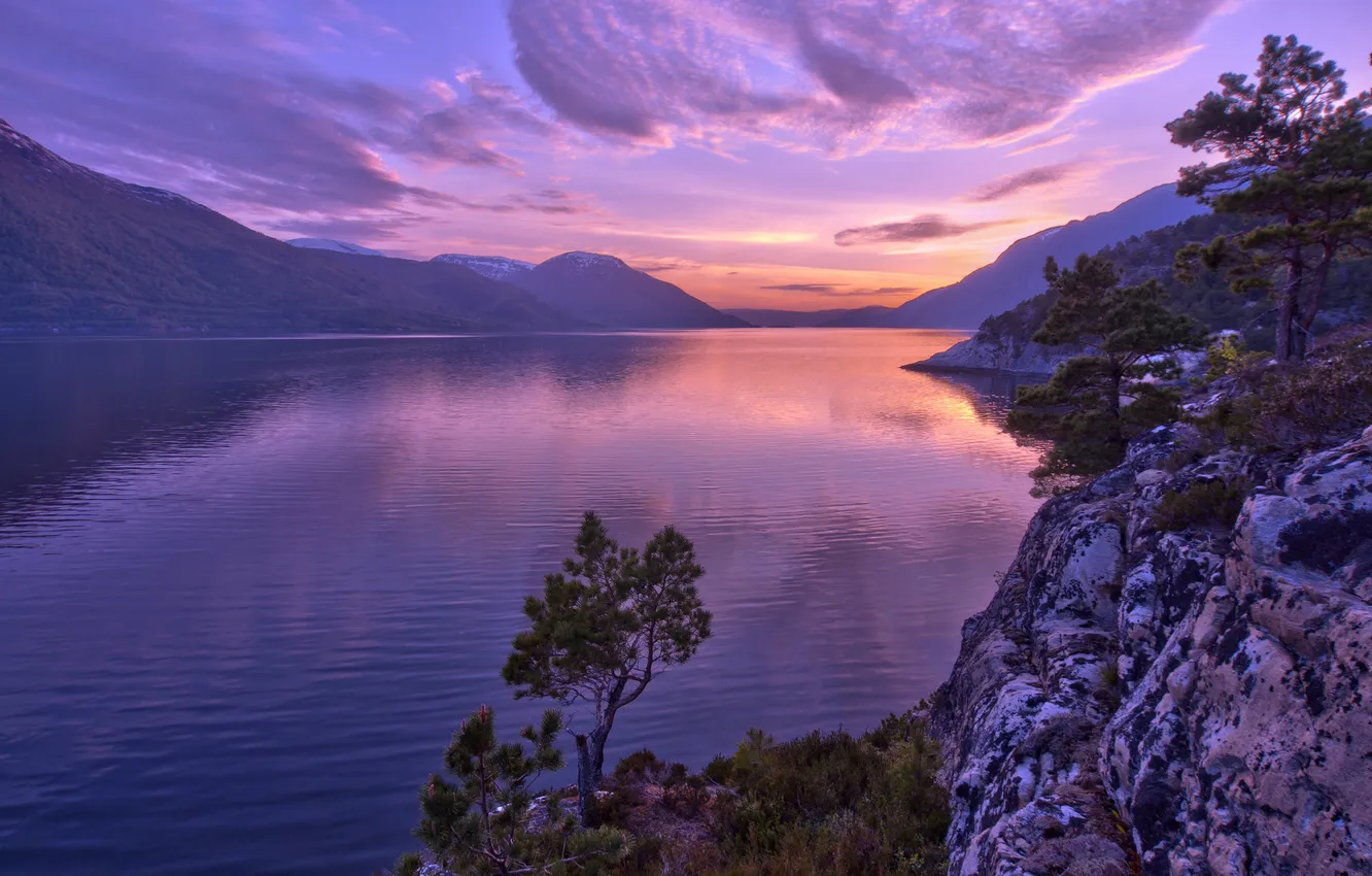 Photo wallpaper trees, sunset, mountains, Norway, pine, Norway, the fjord