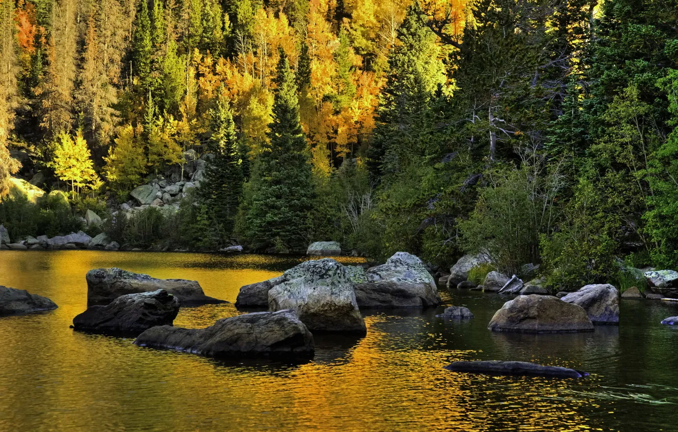 Photo wallpaper forest, nature, Park, stones, photo, USA, Colorado, Rocky Mountain
