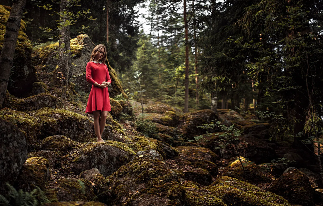 Photo wallpaper forest, look, girl, nature, hair, beautiful, Irina Regent