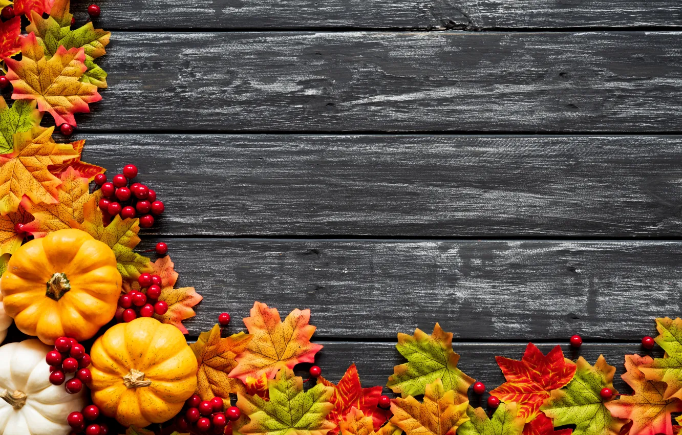 Photo wallpaper autumn, leaves, background, Board, colorful, pumpkin, maple, wood