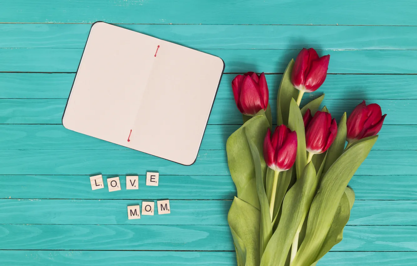 Photo wallpaper flowers, red, bouquet, tulips, red, flowers, tulips, spring