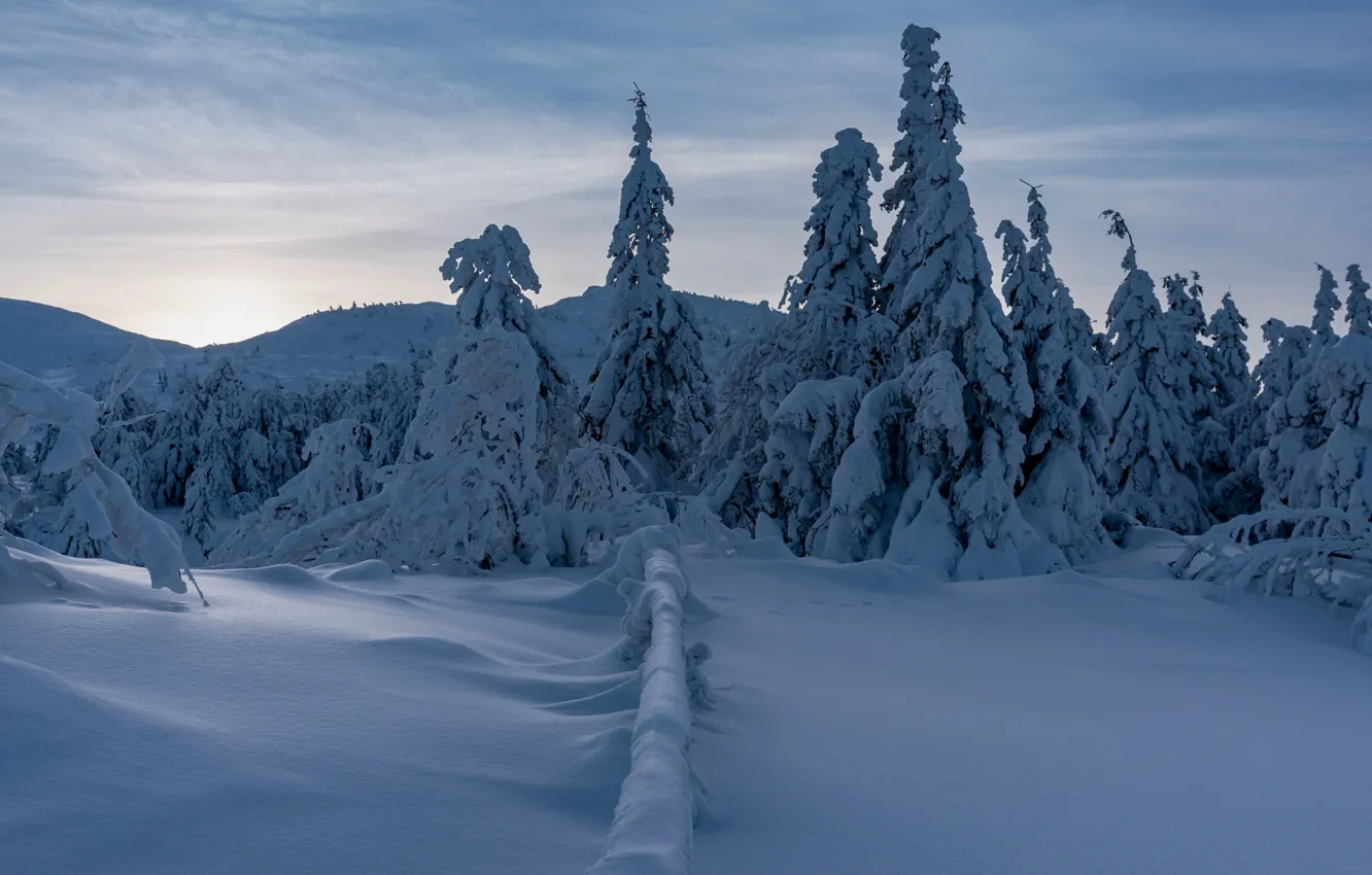 Photo wallpaper winter, frost, field, forest, the sky, clouds, snow, mountains