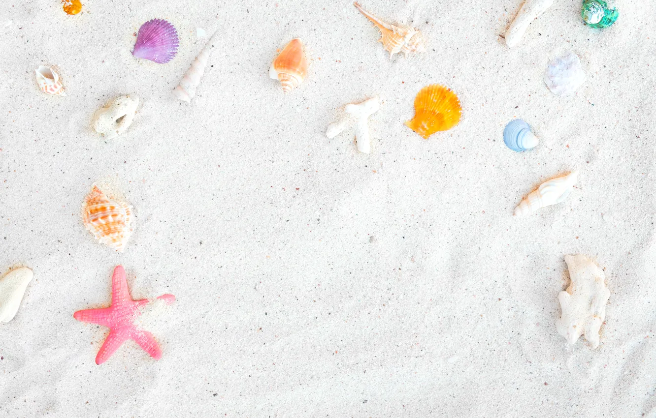 Photo wallpaper sand, beach, background, star, shell, summer, beach, sand