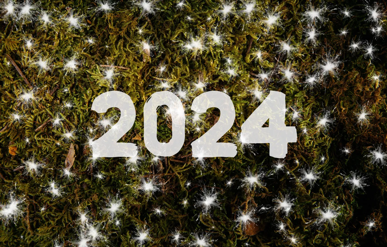 Photo wallpaper snow, new year, moss, figures, snowfall, date, 2024, New Year 2024