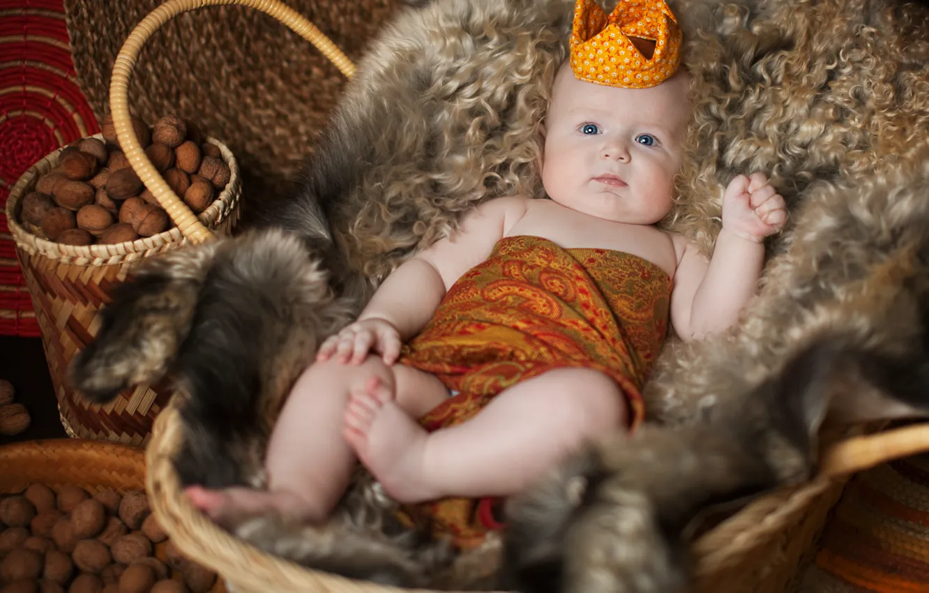 Photo wallpaper children, basket, crown, baby, skin, fur, nuts, child