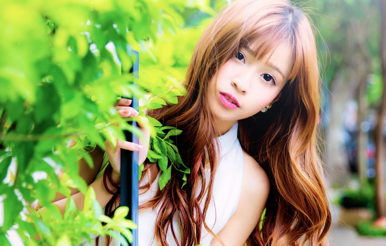 Photo wallpaper look, hair, Asian