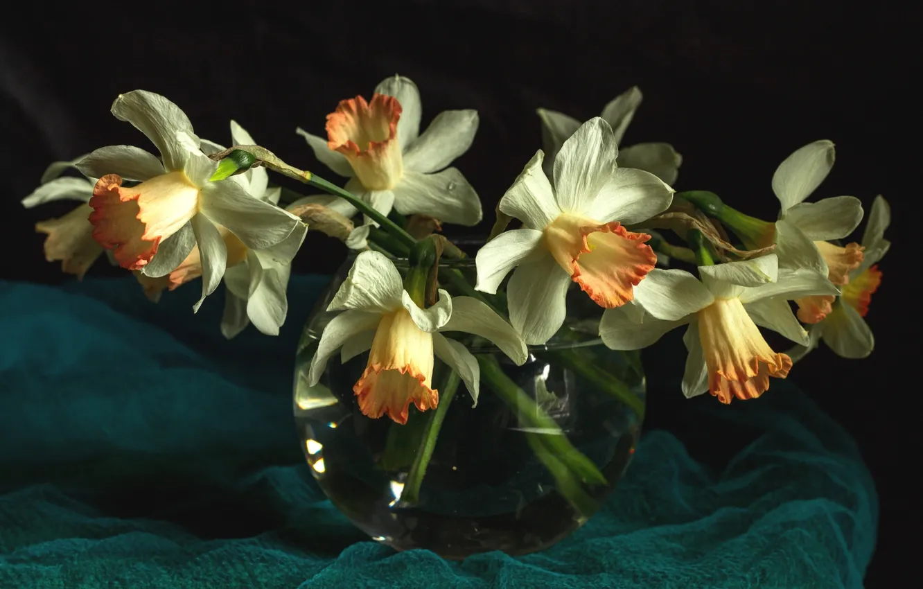 Photo wallpaper macro, bouquet, daffodils