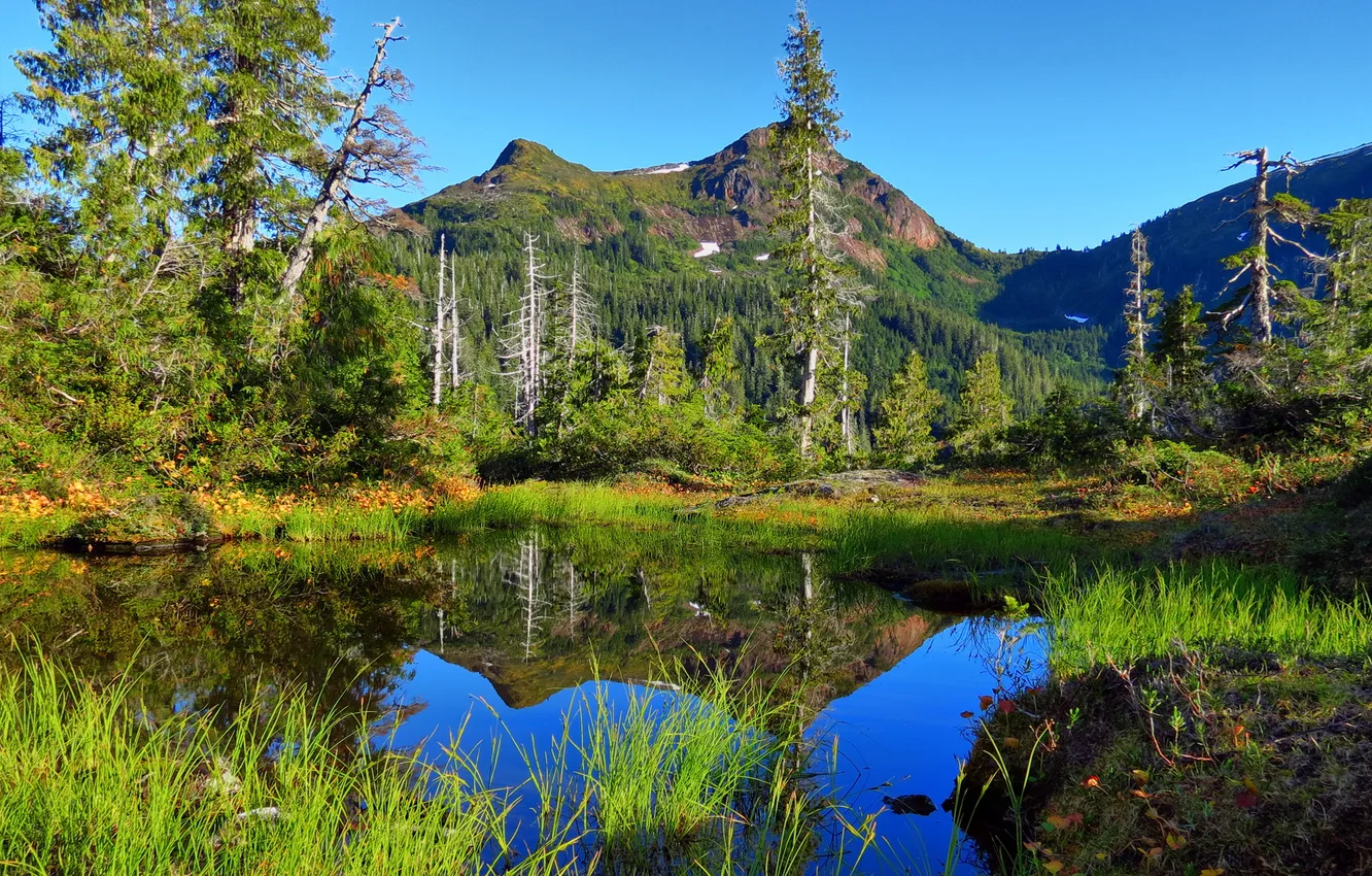 Photo wallpaper grass, water, trees, mountains, nature, lake, surface, Alaska