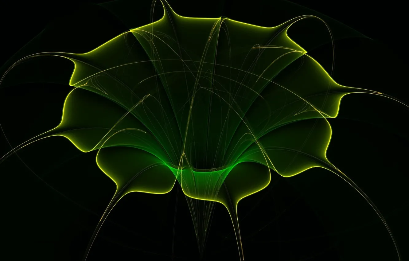 Photo wallpaper flowers, black background, computer graphics, black background, Computer Graphics, glowing in the dark, flower glowing …