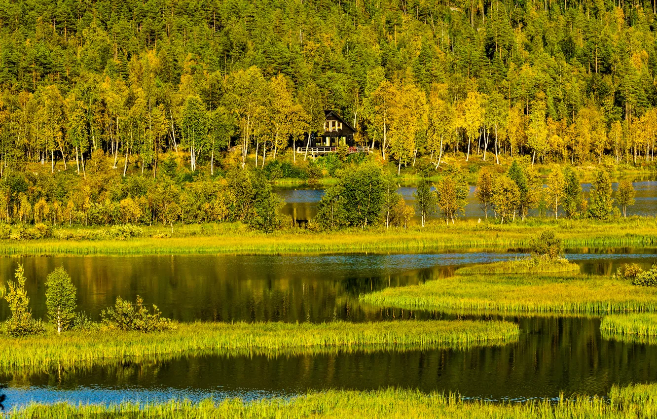 Photo wallpaper autumn, forest, grass, trees, mountains, lake, house, hills