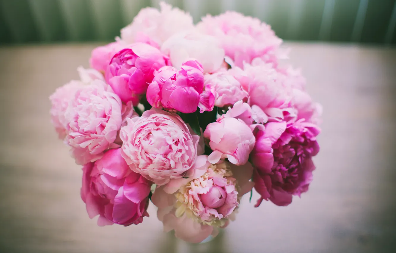 Photo wallpaper flowers, bouquet, petals, pink, Peonies