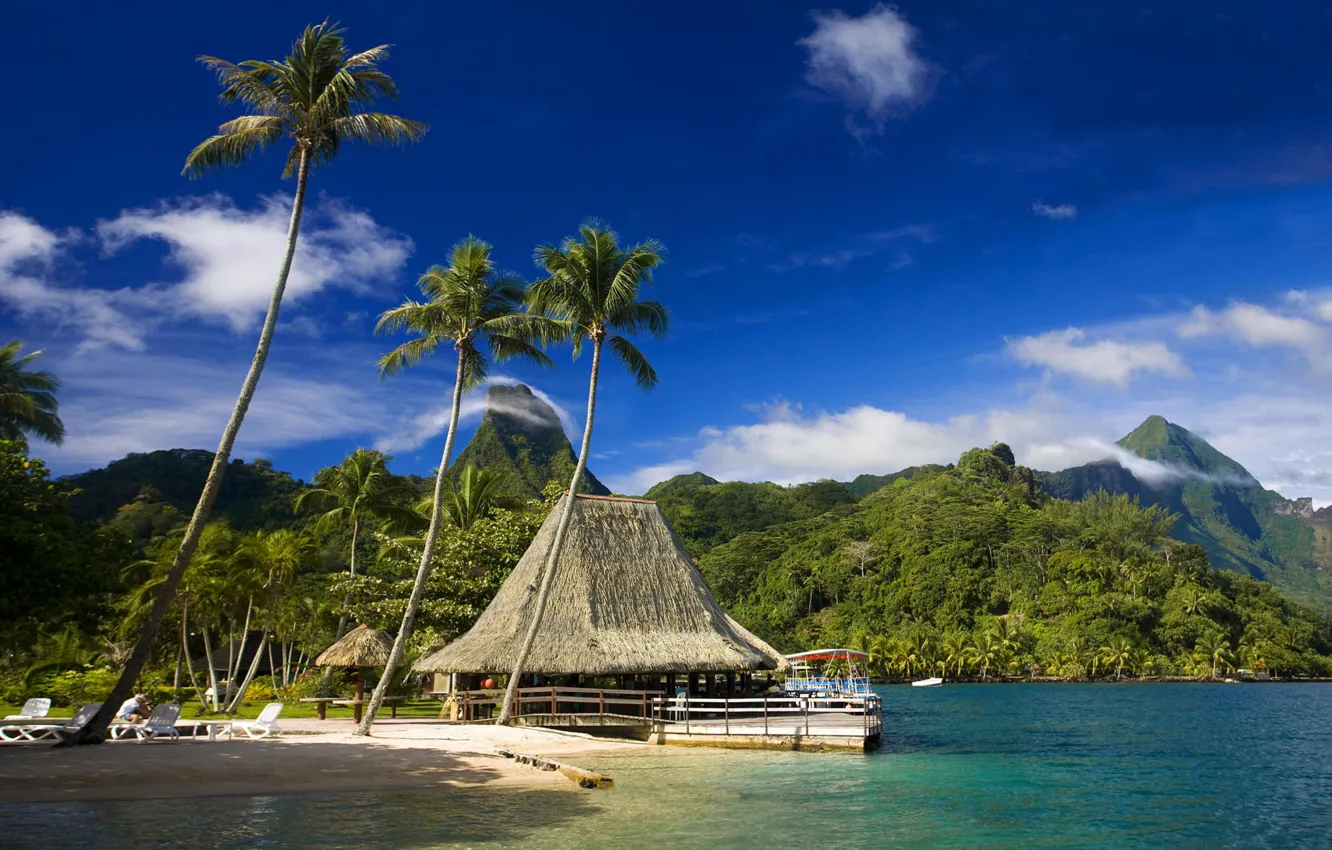 Photo wallpaper beach, tropics, palm trees, cafe, Tahiti, Moorea, tropics beach, Moorea