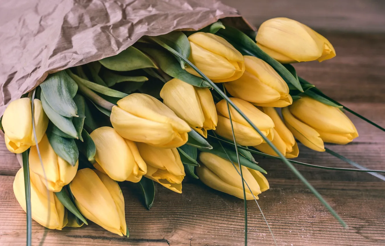 Photo wallpaper yellow, tulips, buds