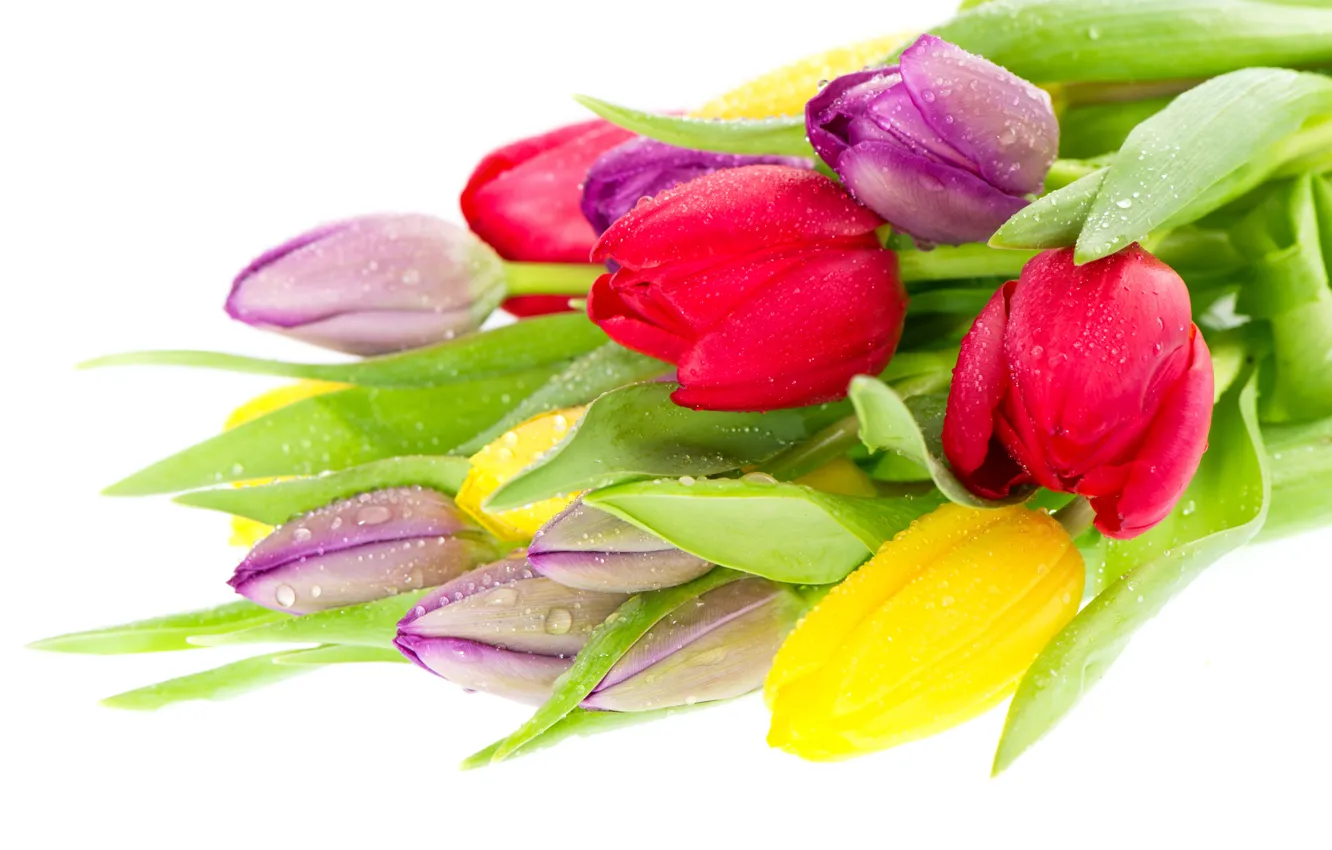 Photo wallpaper bouquet, yellow, tulips, red, lilac