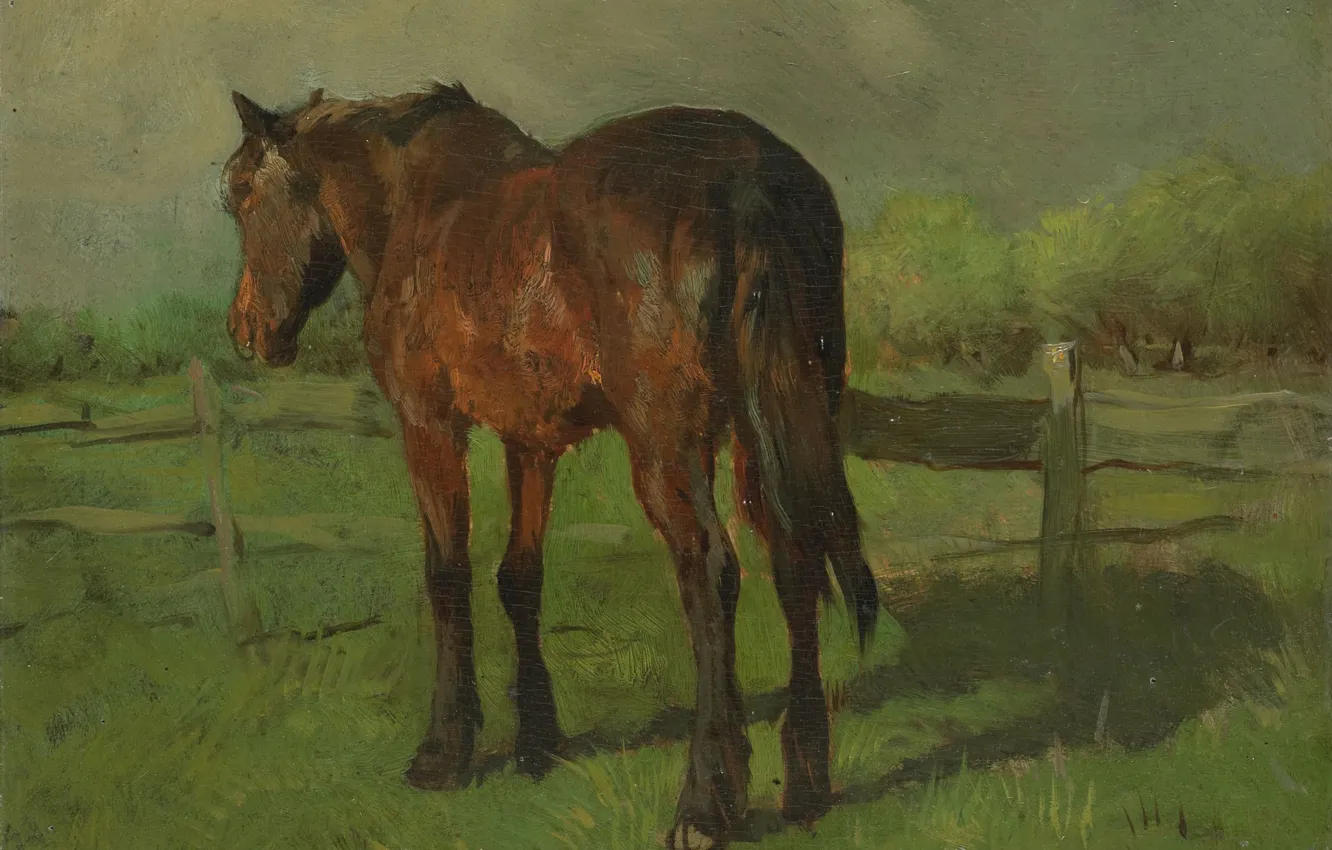 Photo wallpaper horse, oil, picture, canvas, 1888, Anton Mauve, Anton Mauve