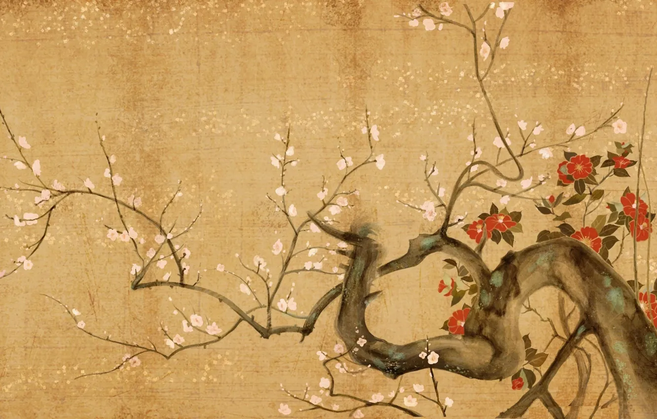 Photo wallpaper flowers, tree, Sakura
