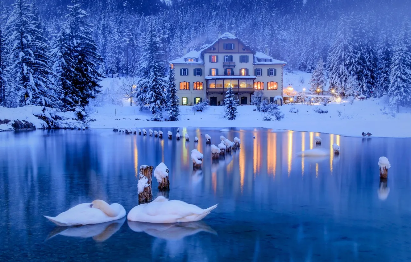 Photo wallpaper winter, forest, snow, trees, lake, bird, home, ate